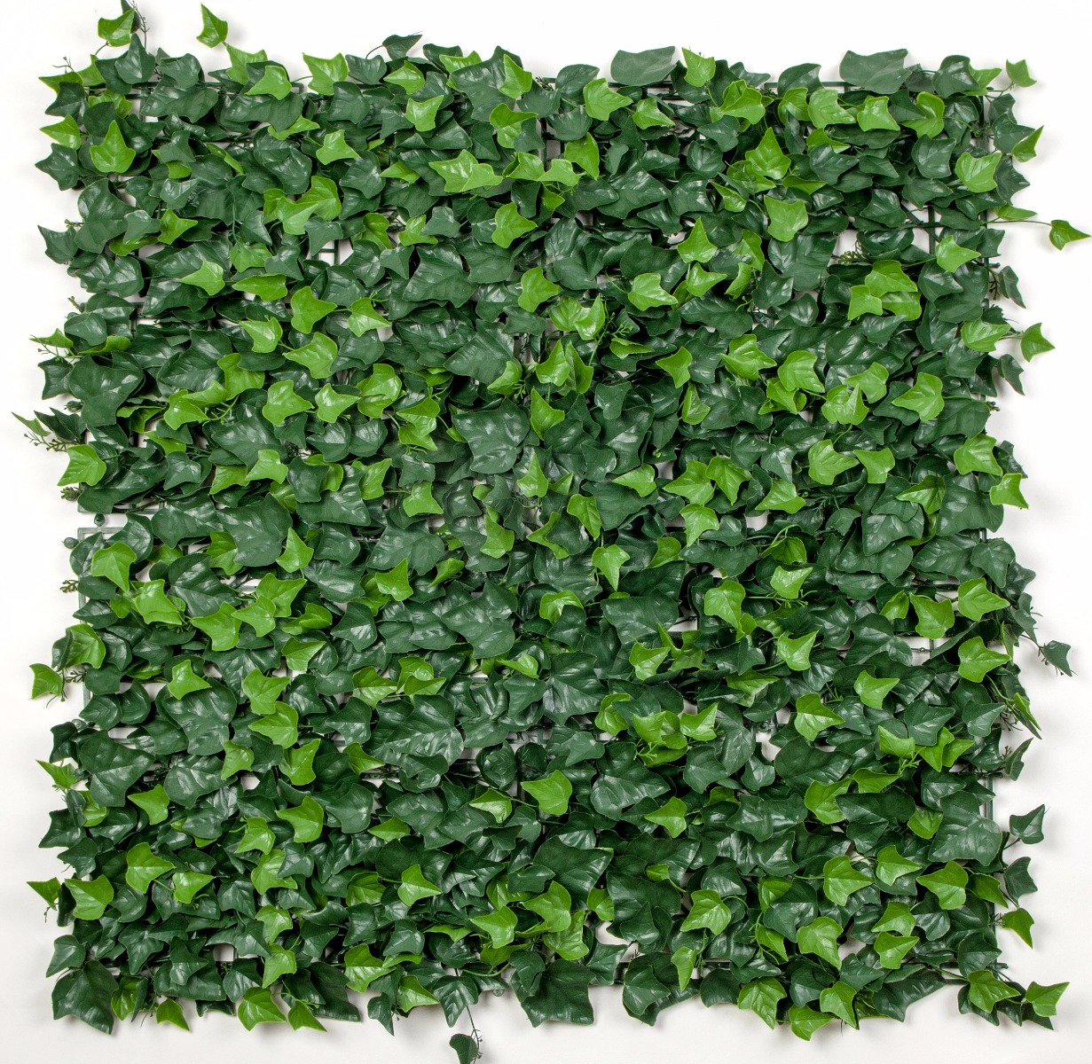1000508_p_12 Ivy Leaf Screens / Panels UV Stabilised 1m X 1m - Image 1