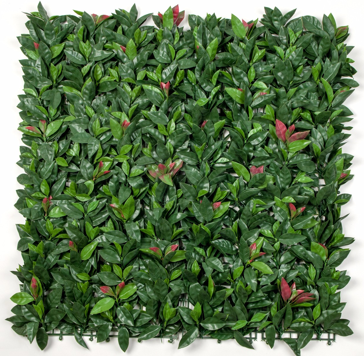 100496_p_12 Photinia (Red Robin) Leaf Screens / Panels UV Stabilised 1m X 1m - Image 1