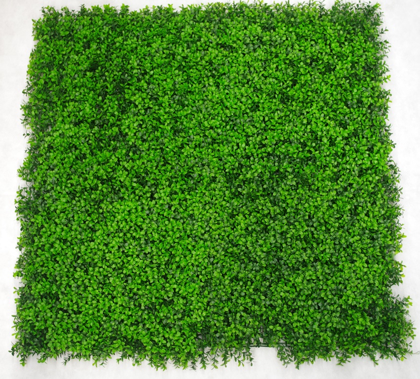 1005795_p_12 Deluxe Buxus Panels UV Stabilised 1m X 1m - Image 1