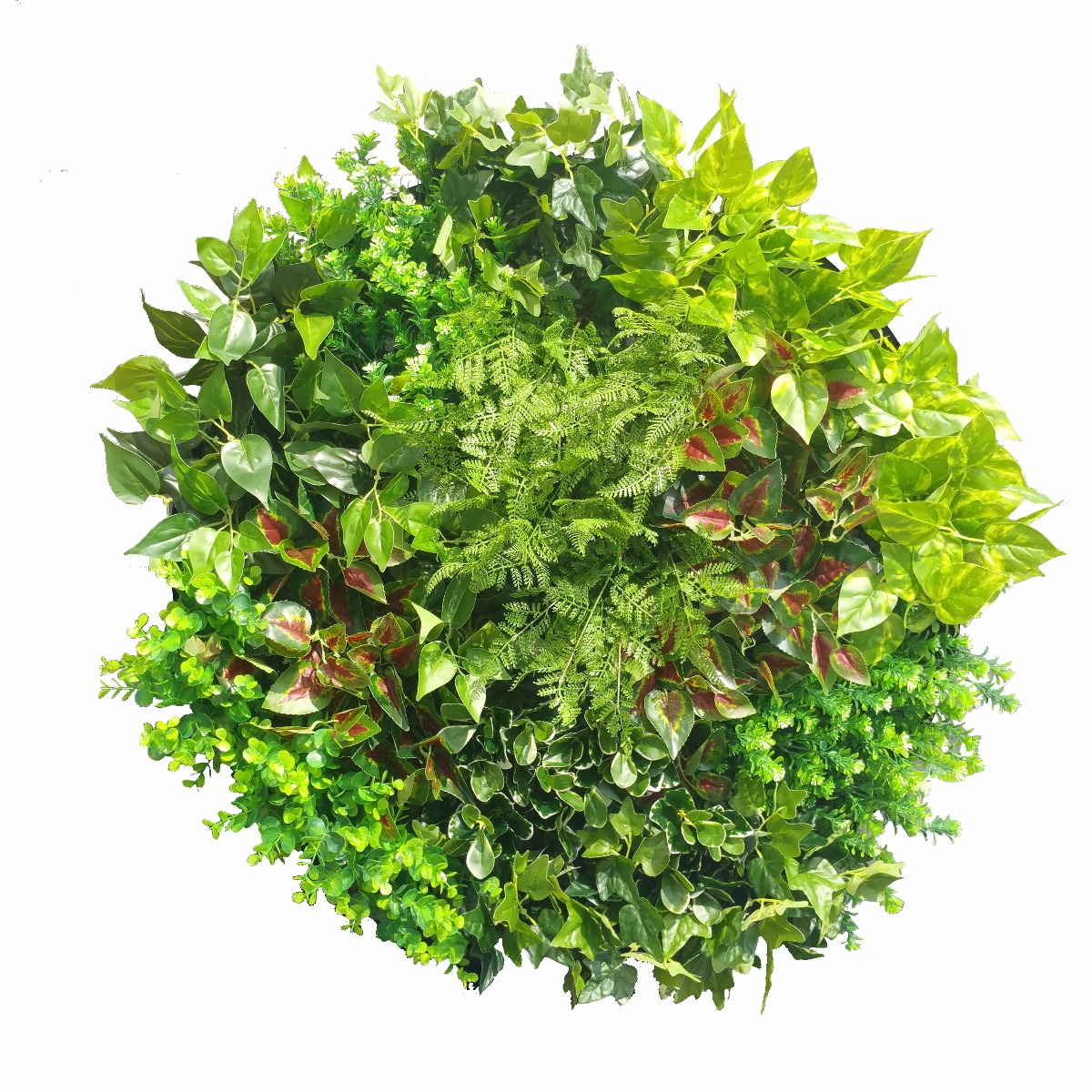1013916_12 Artificial Green Wall Disk Art 80cm - Mixed Fern - Image 1
