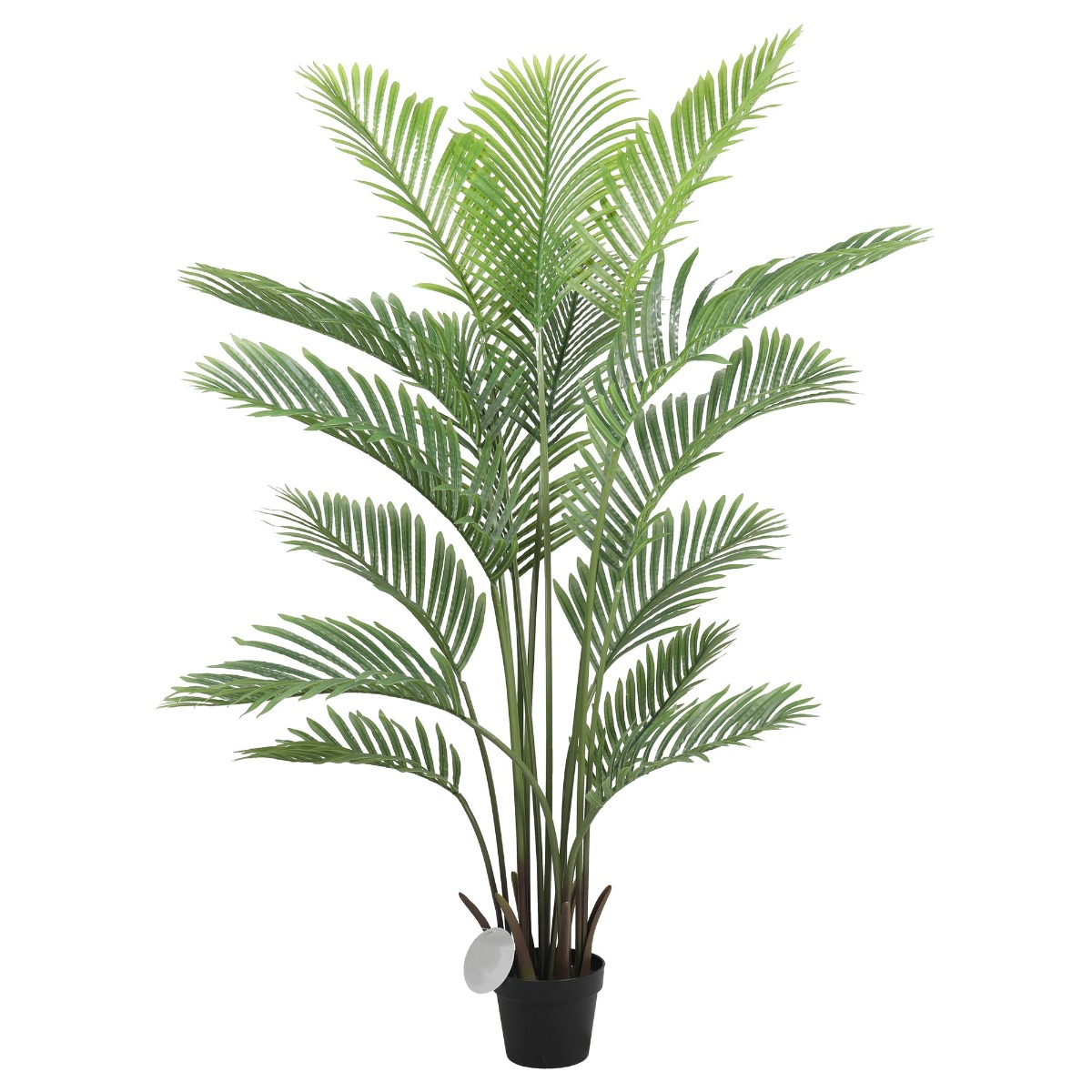 1016107n_3_t__1_1 Premium Artificial Areca Palm Tree Real Touch 160cm - Image 1