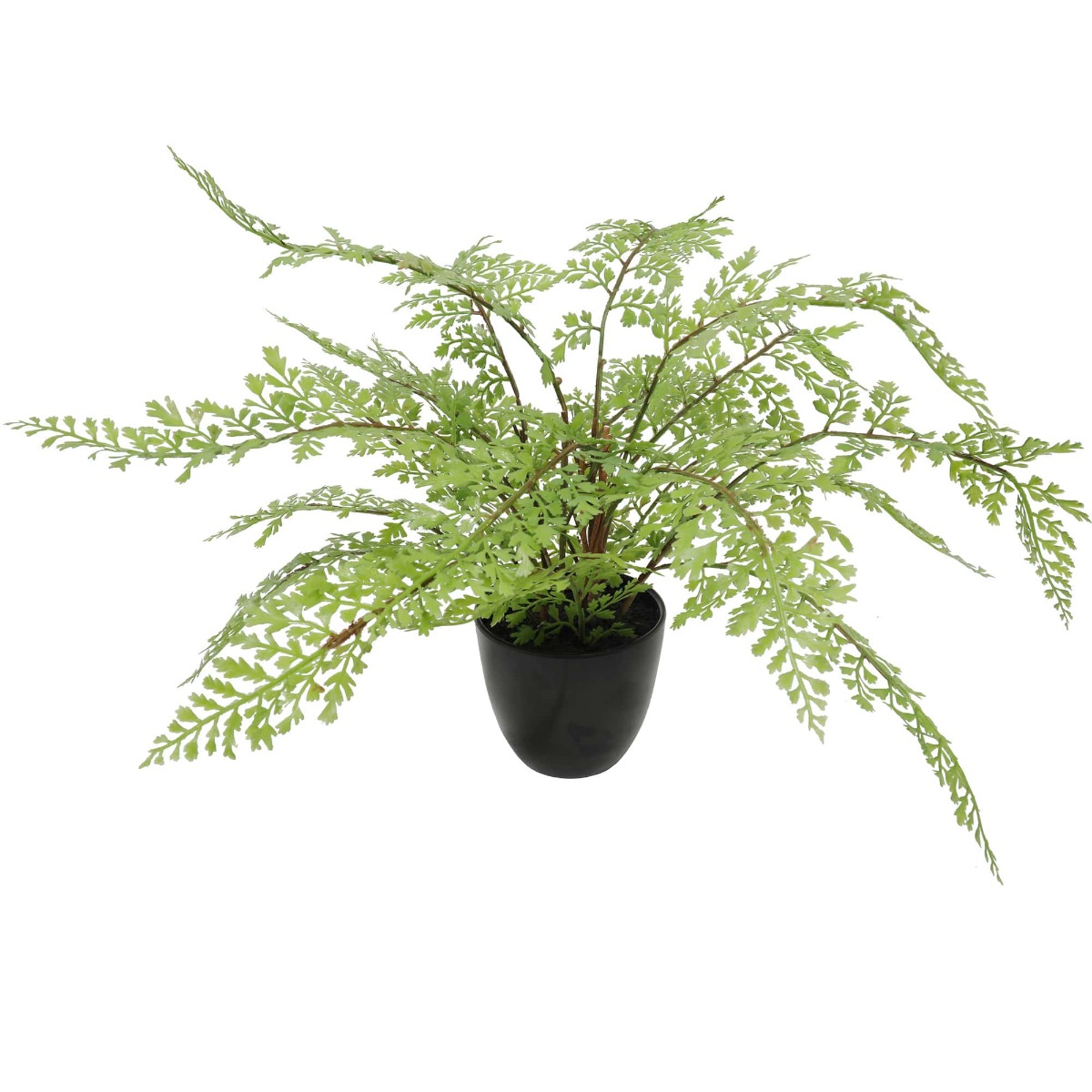 1890011-min_3 Faux Small Potted Fern 35cm - Image 1