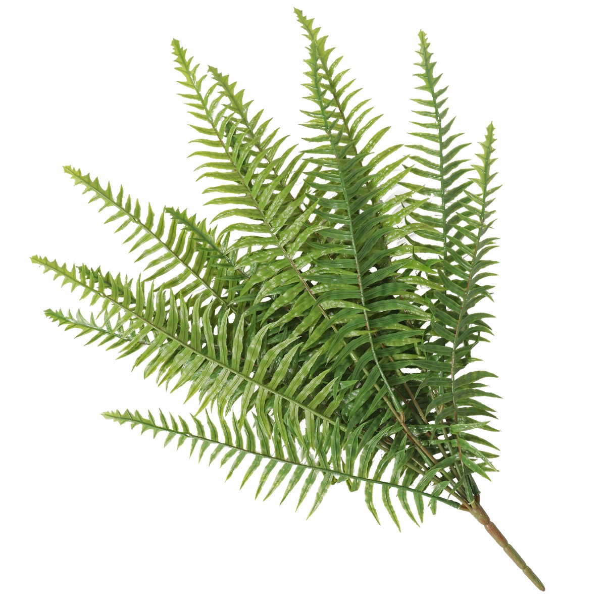 1890029_1_10 Artificial Fern (Lady Fern) 50cm UV Resistant - Image 1