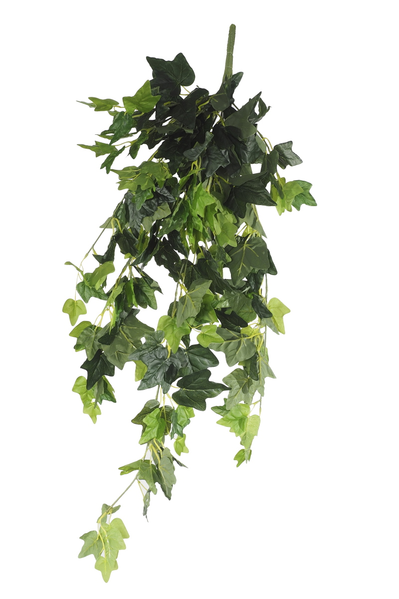 20170916_dp_07025_web_1__3 Hanging Green Ivy Bush 80cm - Image 1