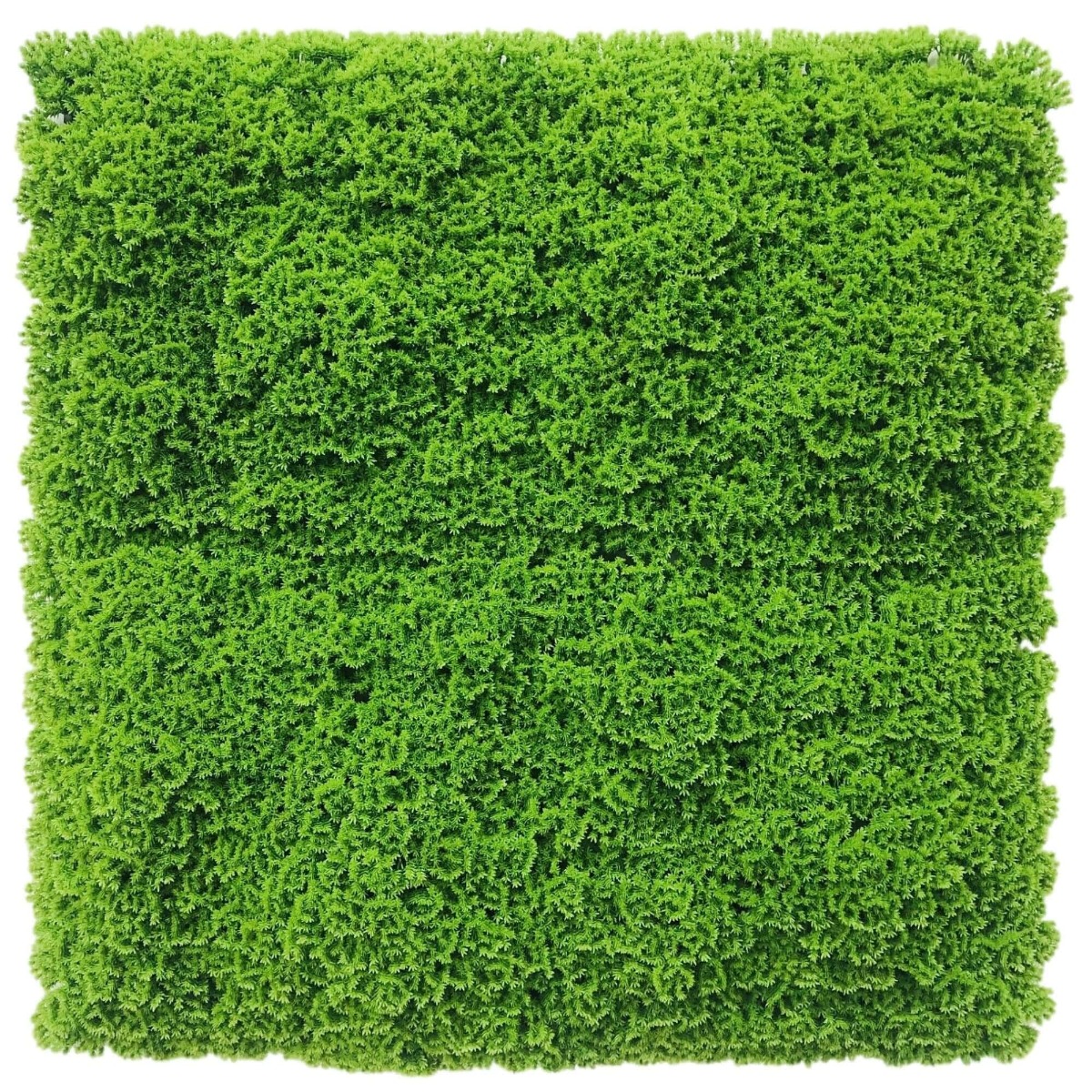 7890013_8 Fresh Natural Green Artificial Moss / Green Wall UV Resistant 1m x 1m - Image 1