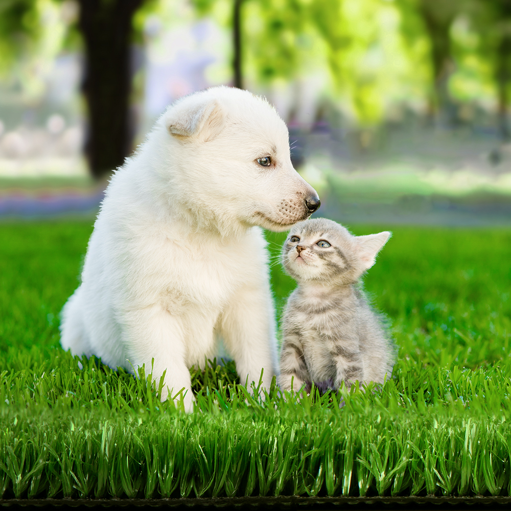 AR-GRASS-15-120M-OL-TAPE20-202502282024-00 Prime Turf 1x20m Artificial Grass Synthetic Fake 20SQM Turf Lawn 17mm Tape - Image 1