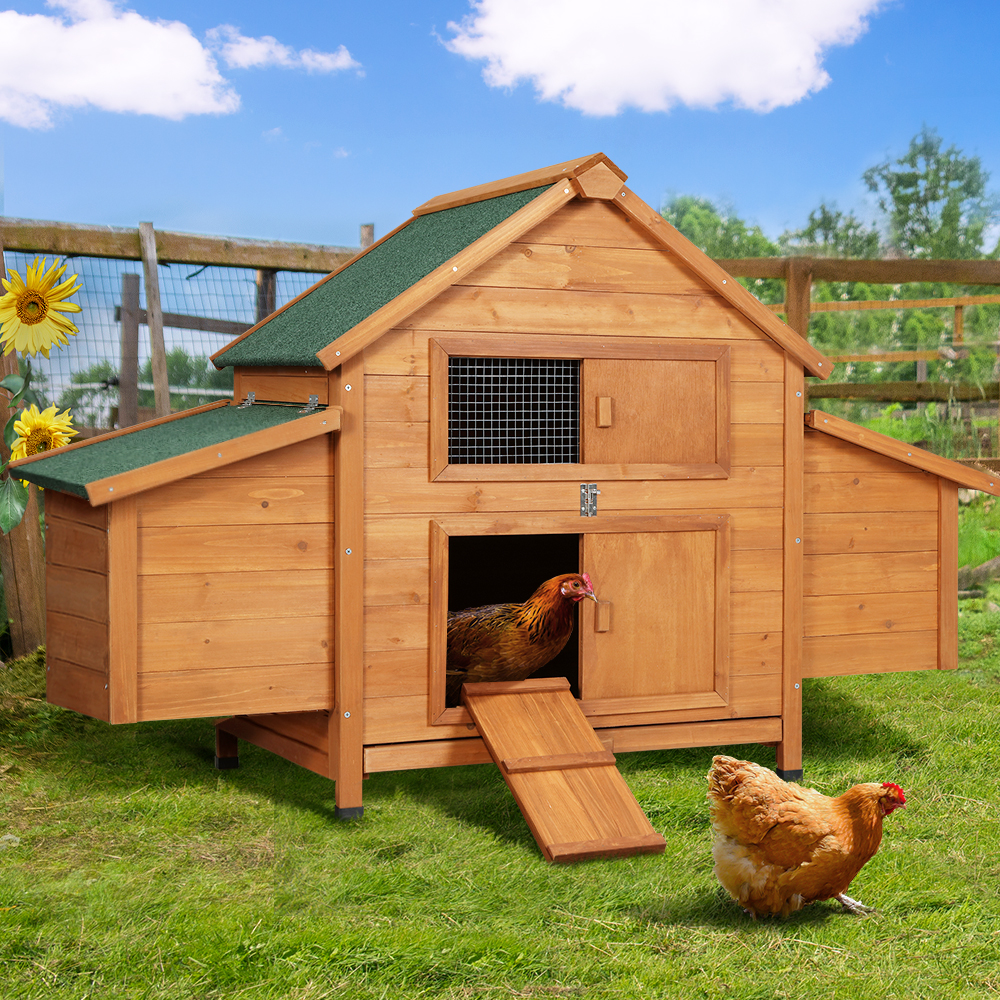 PET-CH-IDCNESTIE-BR-202502281812-00 i.Pet Chicken Coop Rabbit Hutch 150cm x 68cm x 96cm Large Chicken Coop House Run Cage Wooden - Image 1
