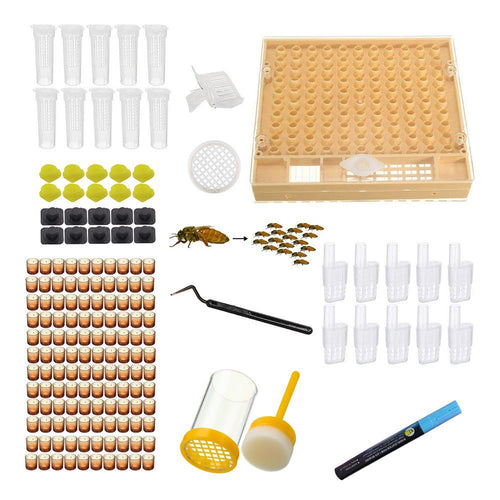 V122-QR-025017-product-image-1527036312_500x-00 Queen Rearing Marking Kit 146 Pieces for Starter Beekeeper Beekeeping Tools - Image 1