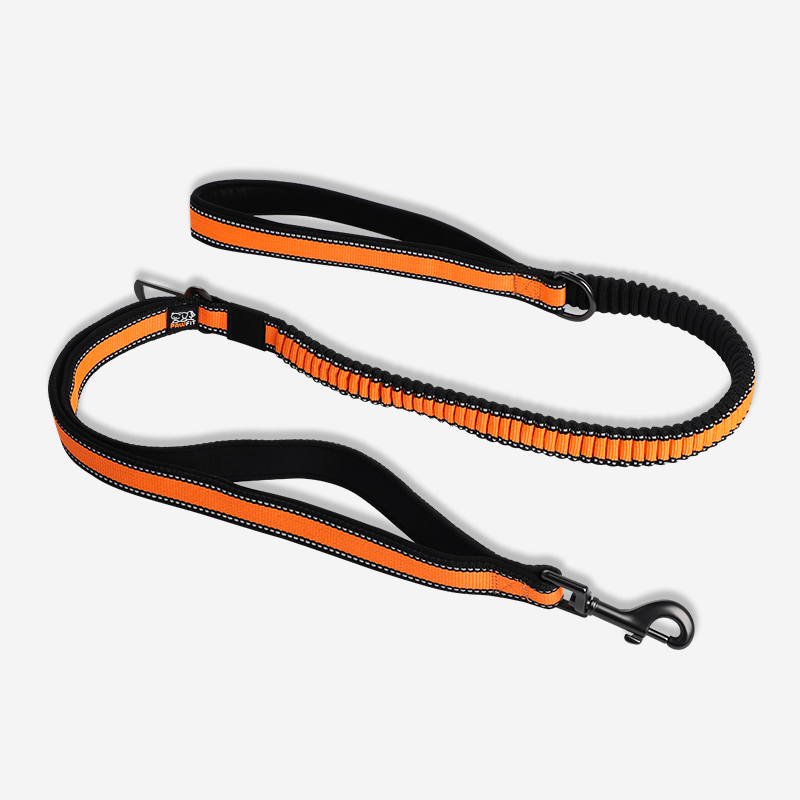 V188-PWFL3-189576-00 Pawfit Leash - Image 1