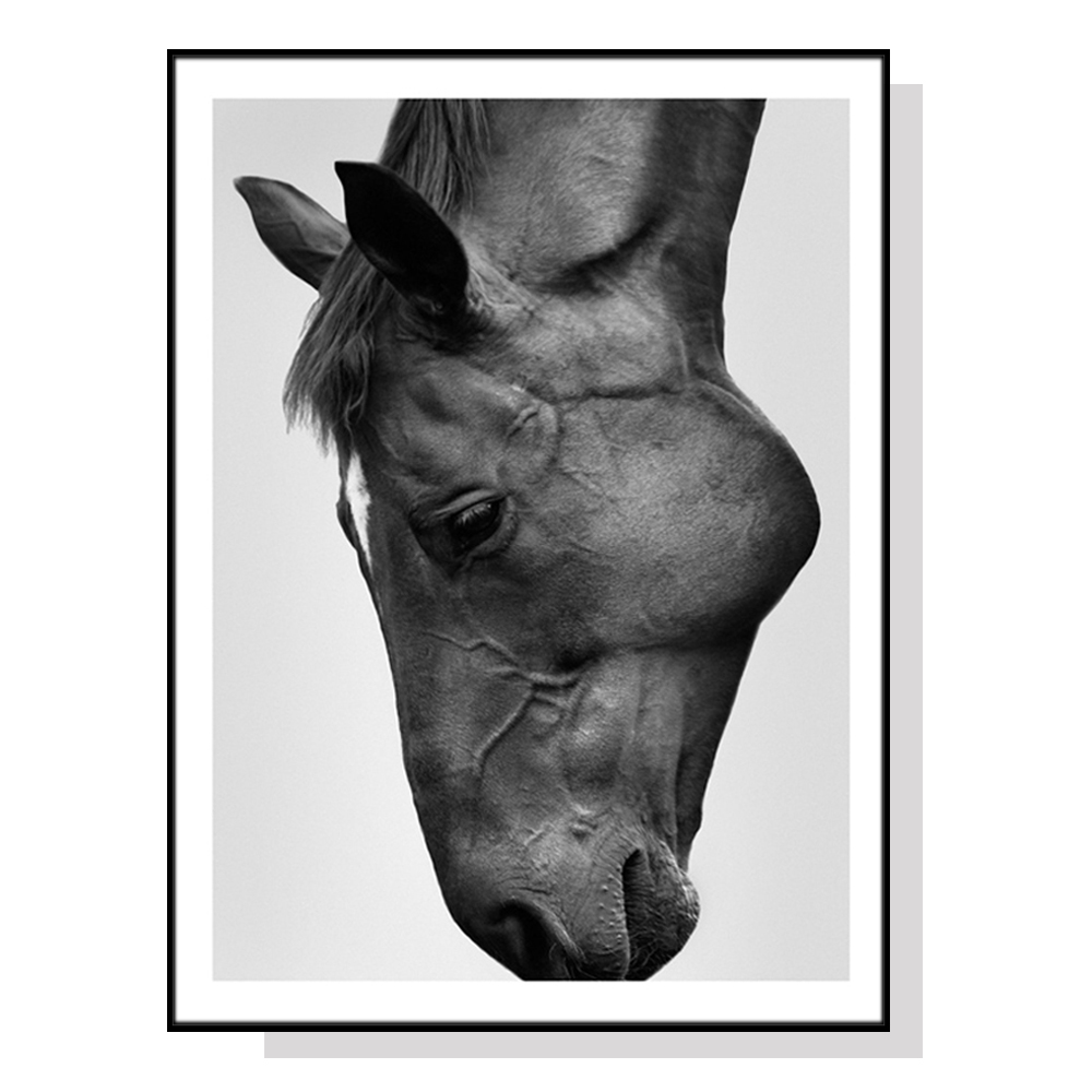V207-1064_Modern-Black-Horse-black_1 Wall Art 50cmx70cm Modern Black Horse Black Frame Canvas - Image 1