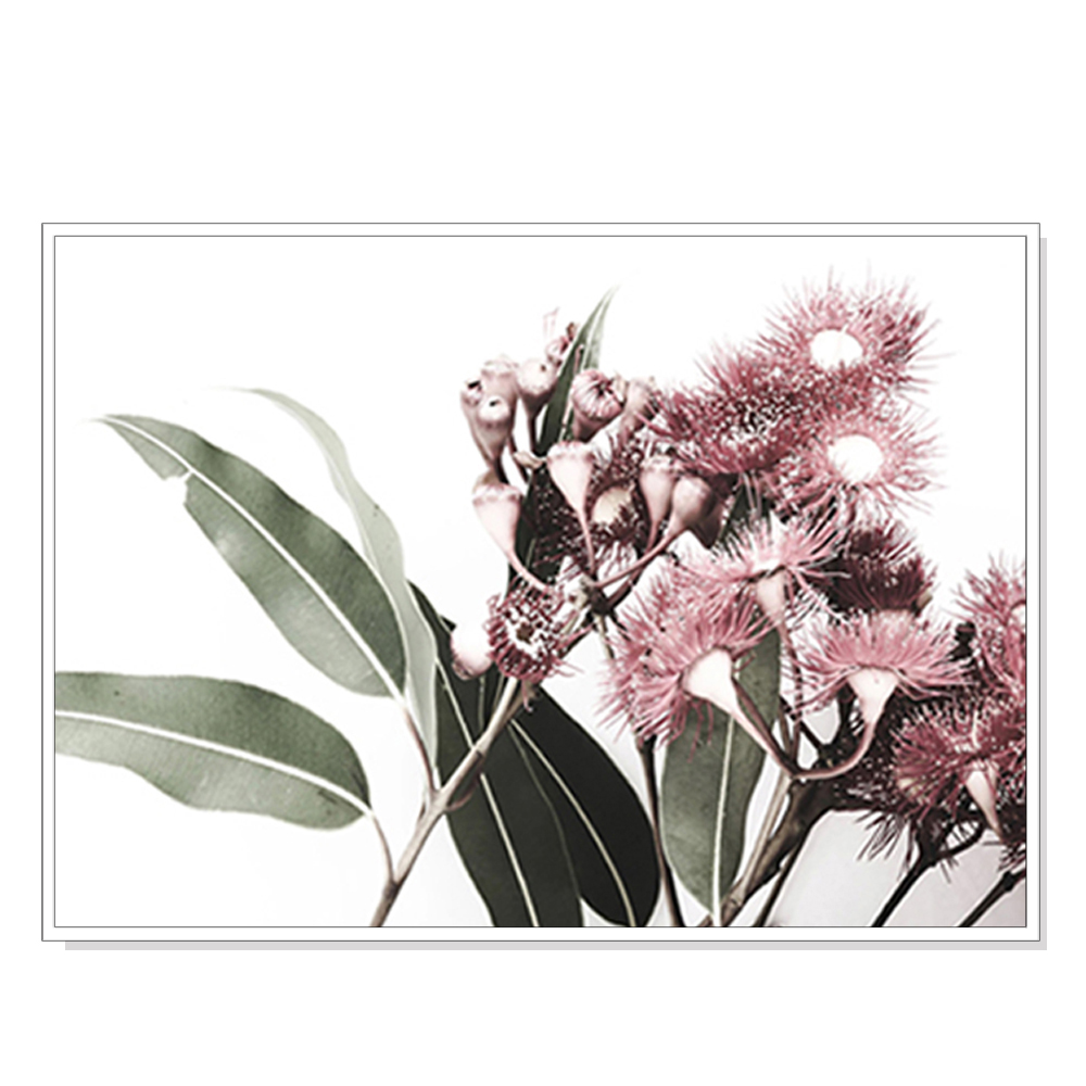 V207-1084_Eucalyptus-in-Bloom-white_1 Wall Art 70cmx100cm Eucalyptus in Bloom White Frame Canvas - Image 1