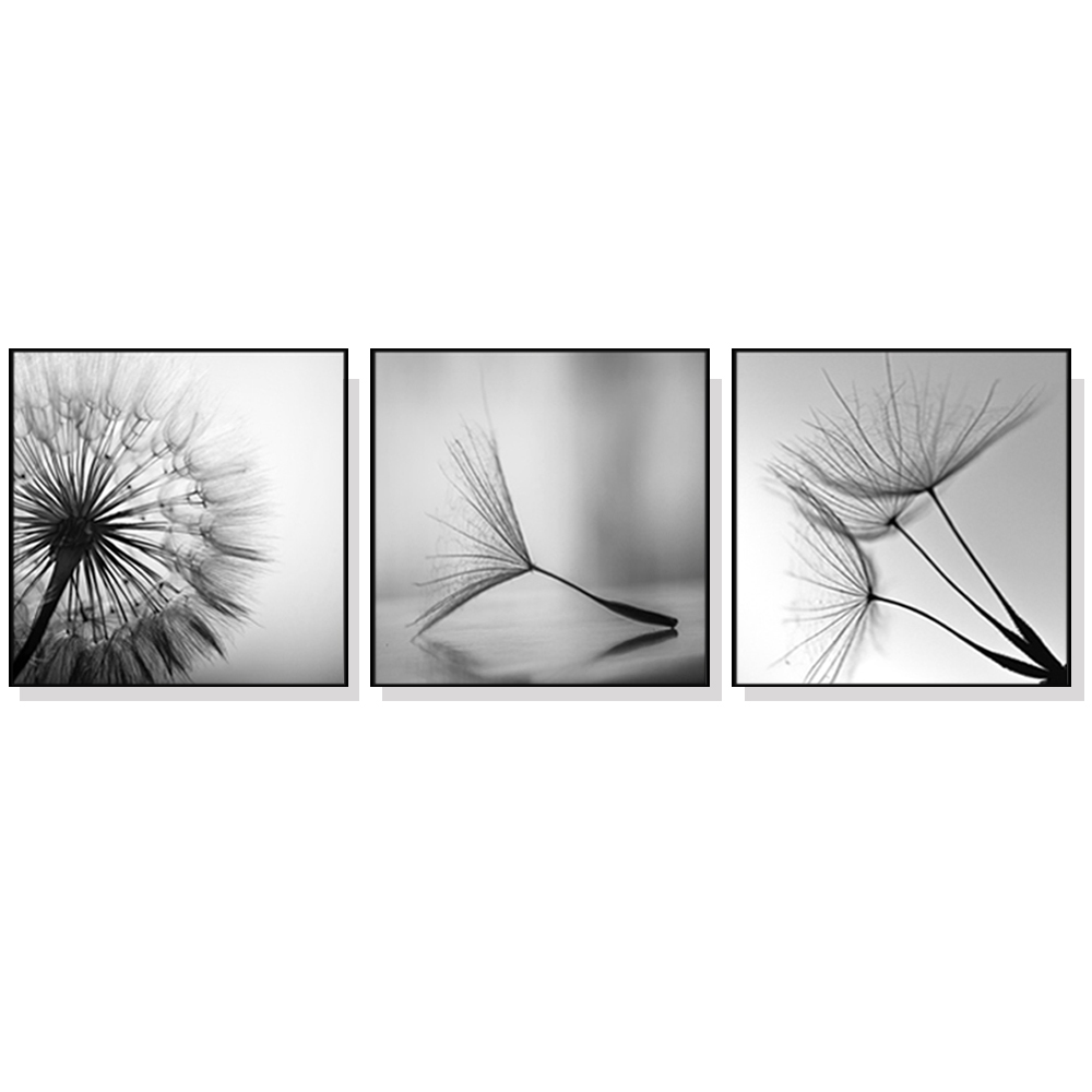 V207-1103_Botanical-dandelions-black-white-3-sets-black-_1 Wall Art 50cmx50cm Botanical dandelions 3 Sets Black Frame Canvas - Image 1