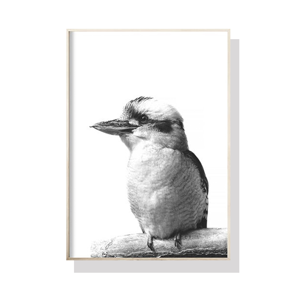 V207-1256-3-146387-00 Wall Art 90cmx135cm Kookaburra Black Frame Canvas - Image 1