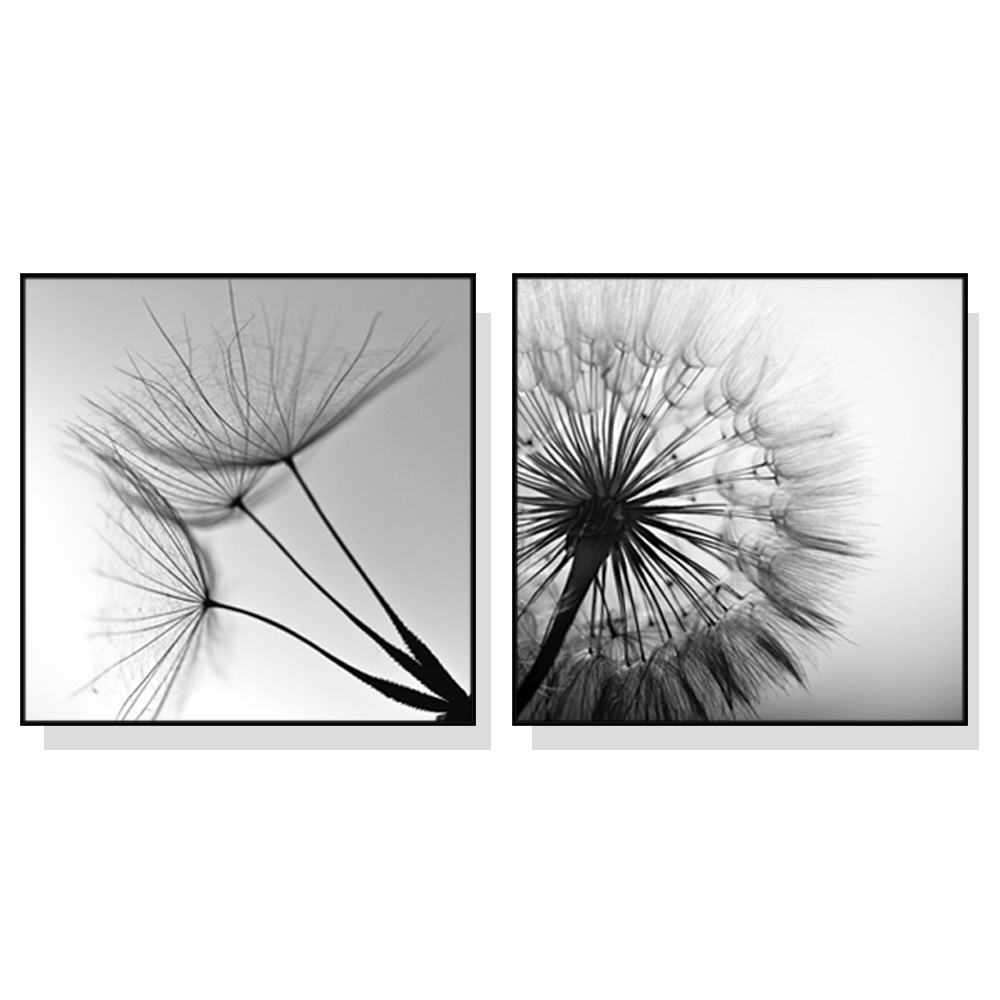 V207-1452-66055-00 Wall Art 60cmx60cm Black and white dandelion 2 Sets Black Frame Canvas - Image 1