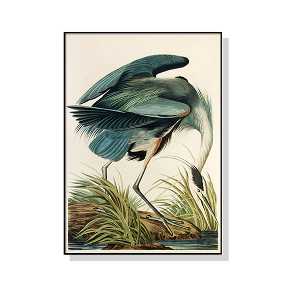 V207-1589-1-146217-00 Wall Art 90cmx135cm Great Blue Heron By John James Audubon Black Frame Canvas - Image 1