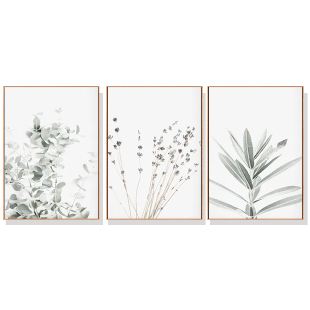 V207-1953-87368-00 Wall Art 50cmx70cm Lavender Eucalyptus 3 Sets Wood Frame Canvas - Image 1