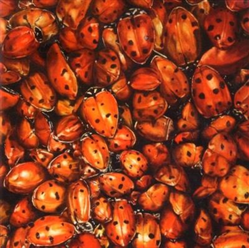 V210-2072133-202507030045-00 Tonights - Tonights Cd Album - Image 1