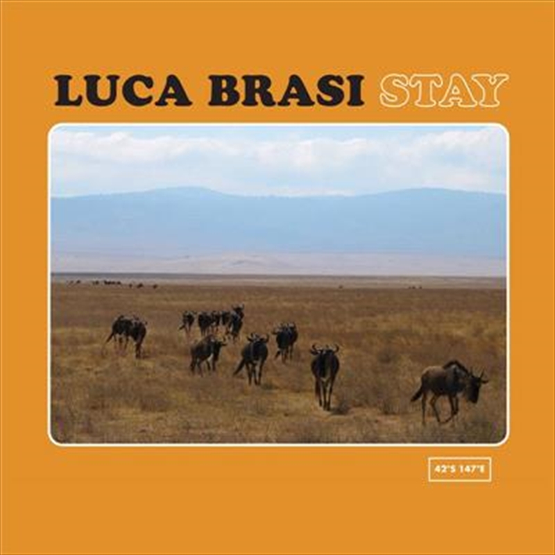 V210-2374998-202507021420-00 Stay - Luca Brasi Cd Album - Image 1