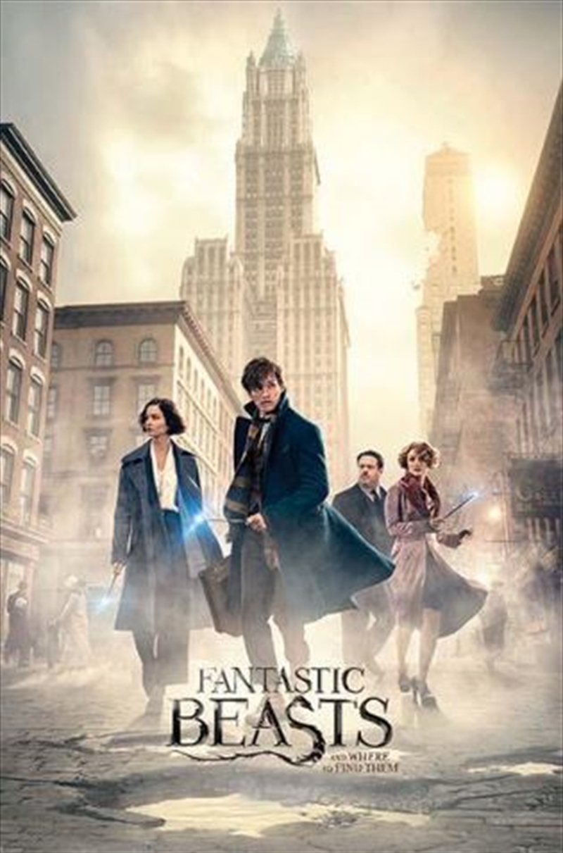 V210-2416536-SDC_2416536_2019-12-3-10-56-45-00 Fantastic Beasts - New York Street Poster - Image 1