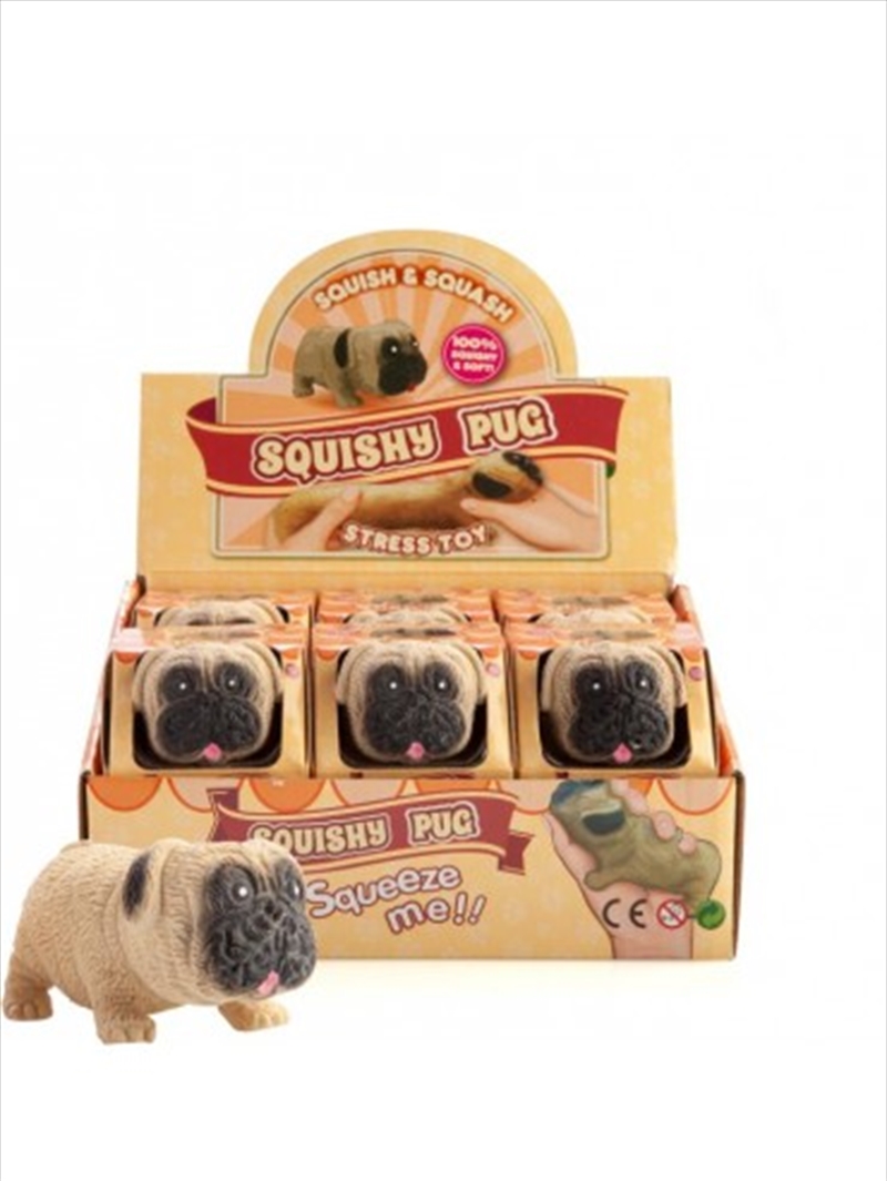 V210-2608009-SDC_2608009_2020-10-11-09-18-01-00 Squishy Pug Toy - Image 1