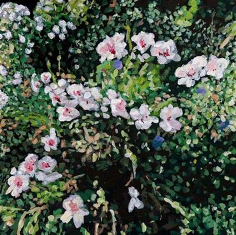 V210-2623928-202507021410-00 Dont Ask Yourself Why - Locke, Jess Cd Album - Image 1