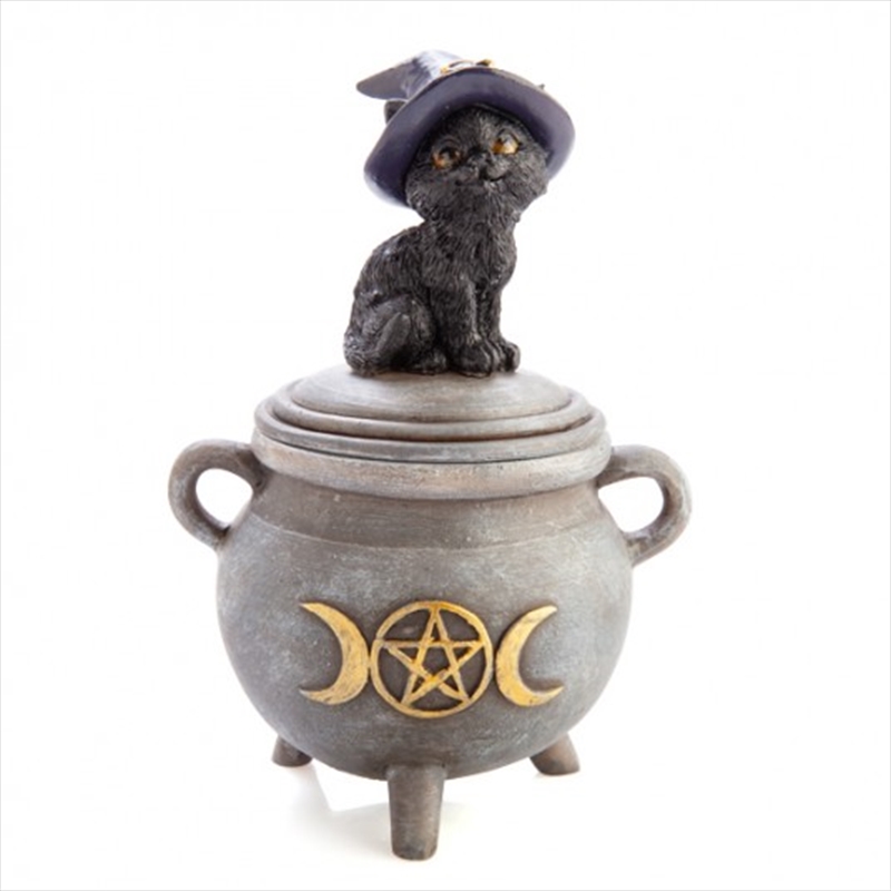 V210-2680628-202503071811-00 Black Cat Cauldron Trinket Box - Image 1