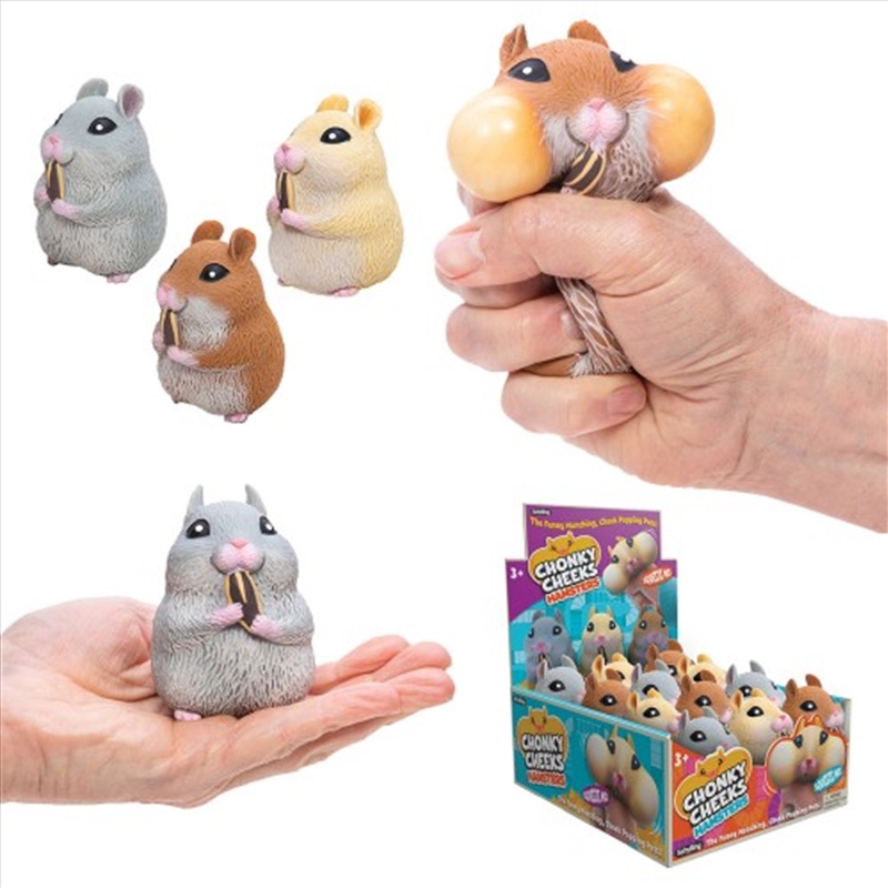 V210-2745234-202507030820-00 Chonky Cheeks Hamsters (SENT AT RANDOM) - Image 1