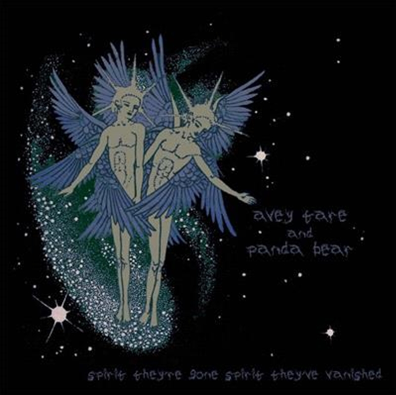 V210-2756911-202507030135-00 Spirit Theyre Gone Spirit They - Animal Collective Cd Album - Image 1