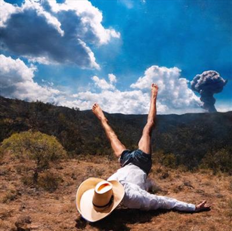 V210-2850729-202502241312-00 3D Country - Geese Cd Album - Image 1