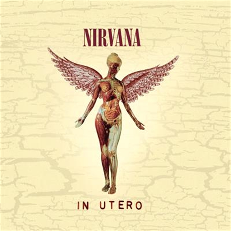 V210-2861330-202502241559-00 In Utero - 30Th Anniversary - Nirvana Cd Album - Image 1