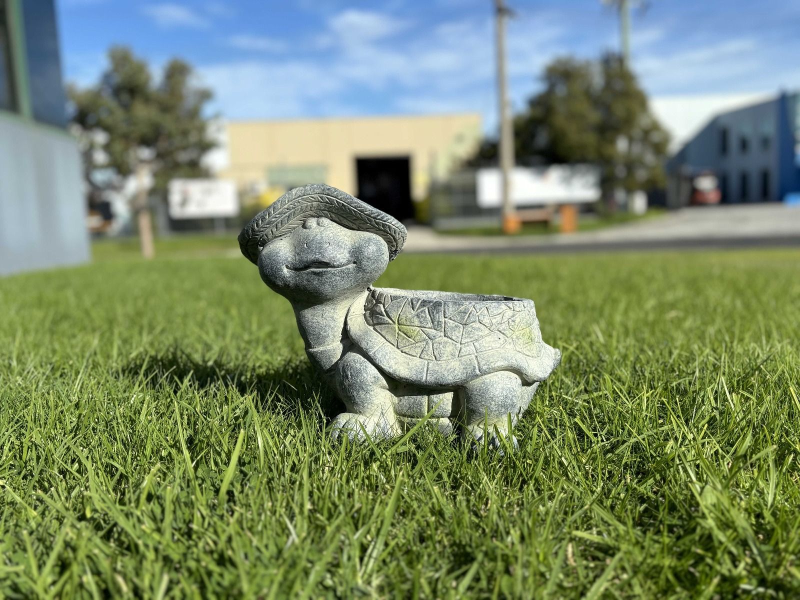 V231-MP-033-202506031239-00 Turtle Planter - Image 1