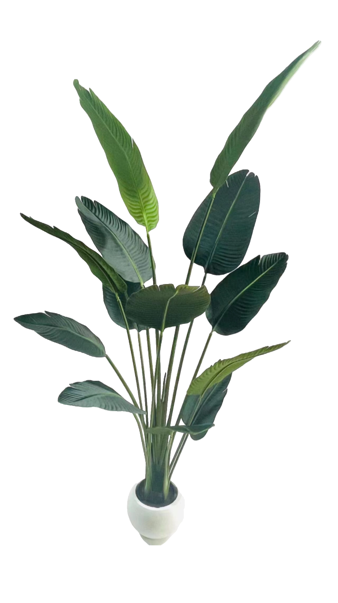 V292-HD-PLANT-PARADISE-180CM-191531-00 Artificial Bird of Paradise Plant - 180CM - Image 1