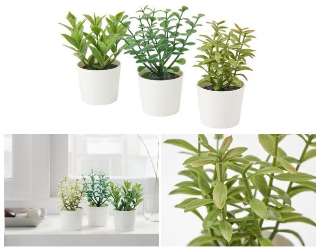 V382-3HERBINPOTWHITE-202504030821-00 3 Pack of Artificial Herb Potted Plants in White Plastic 5cm Pot Interior Decoration - Image 1