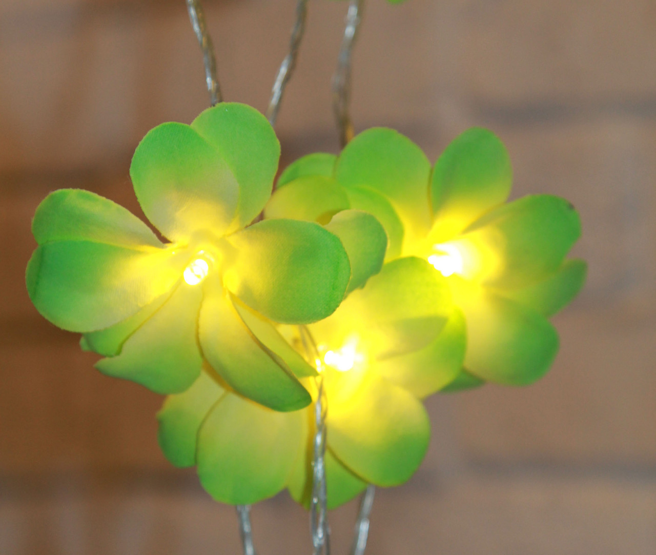 V382-GRFRANGIBATT20-68330-01 1 Set of 20 LED Green Frangipani Flower Battery String Lights Christmas Gift Home Wedding Party Decoration Outdoor Table Garland Wreath - Image 1