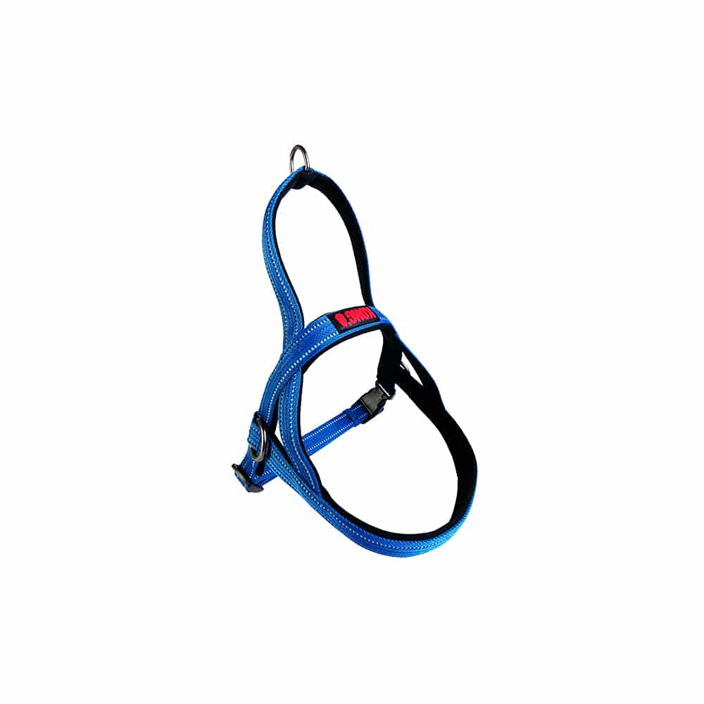 V390-KHNSMBL-185468-00 KONG Norwegian Blue Harness Medium - Image 1