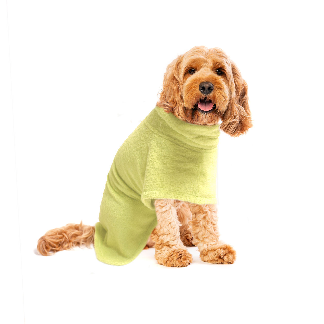 V422-BR-G-XL-97677-00 Organic Luxury Bamboo & Cotton Dog Bathrobe - Image 1
