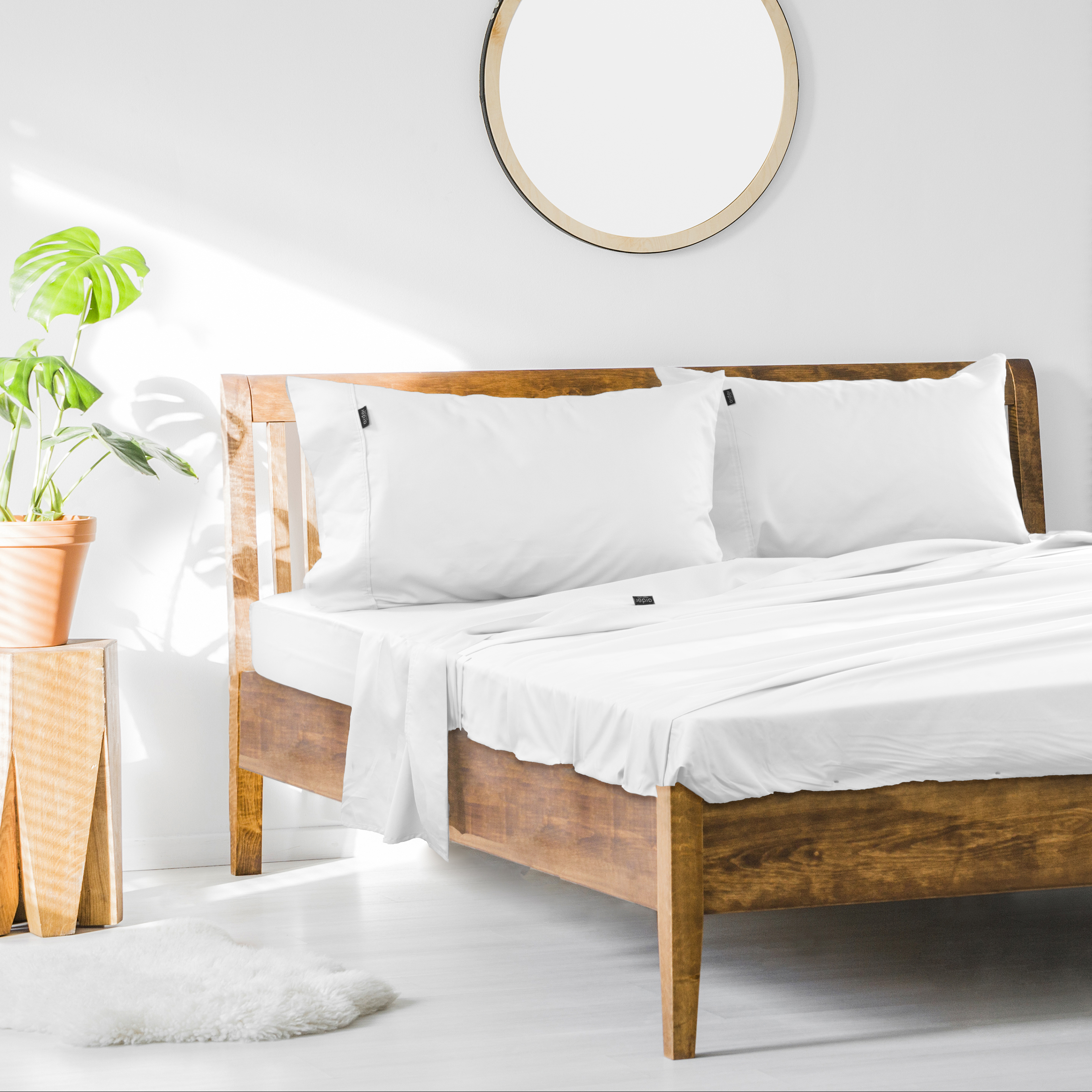 V441-SS4056WTEKS-90465-00 1000TC Cotton Rich SHEET SET - KING SINGLE - Image 1