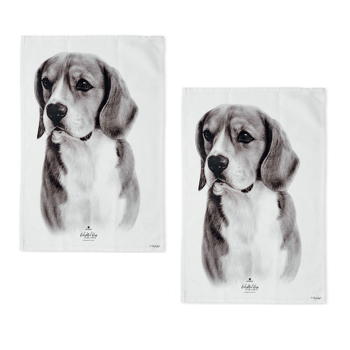 V442-LDE-TEAT-BEAGLESETOF2-WHITE-RE-77671-00 Set of 2 Delightful Dogs Cotton Kitchen Tea Towels 50 x 70 cm Beagle - Image 1