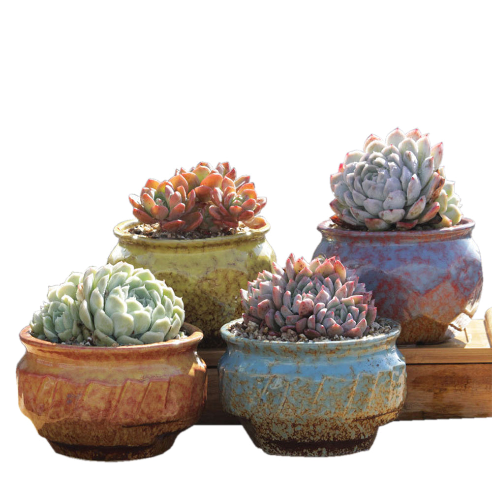 V462-HG-108-01-143304-05 4/5/6 Pots Set Ceramic Clay Pottery Pots Succulent Flower Planter Draining Hole(Style 01# 4 Pots Set) - Image 1