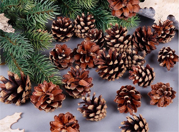 V474-227789-103187-00 18 Christmas Natural Pine Cones Xmas Tree Hanging Home Decoration Ornament Gifts, 18x Natural Pinecones - Image 1