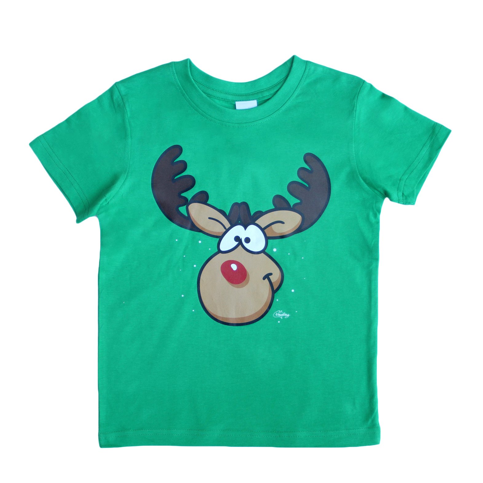 V474-230750-103482-00 New Funny Adult Xmas Christmas T Shirt Tee Mens Womens 100% Cotton Jolly Ugly, Reindeer (Green), L - Image 1