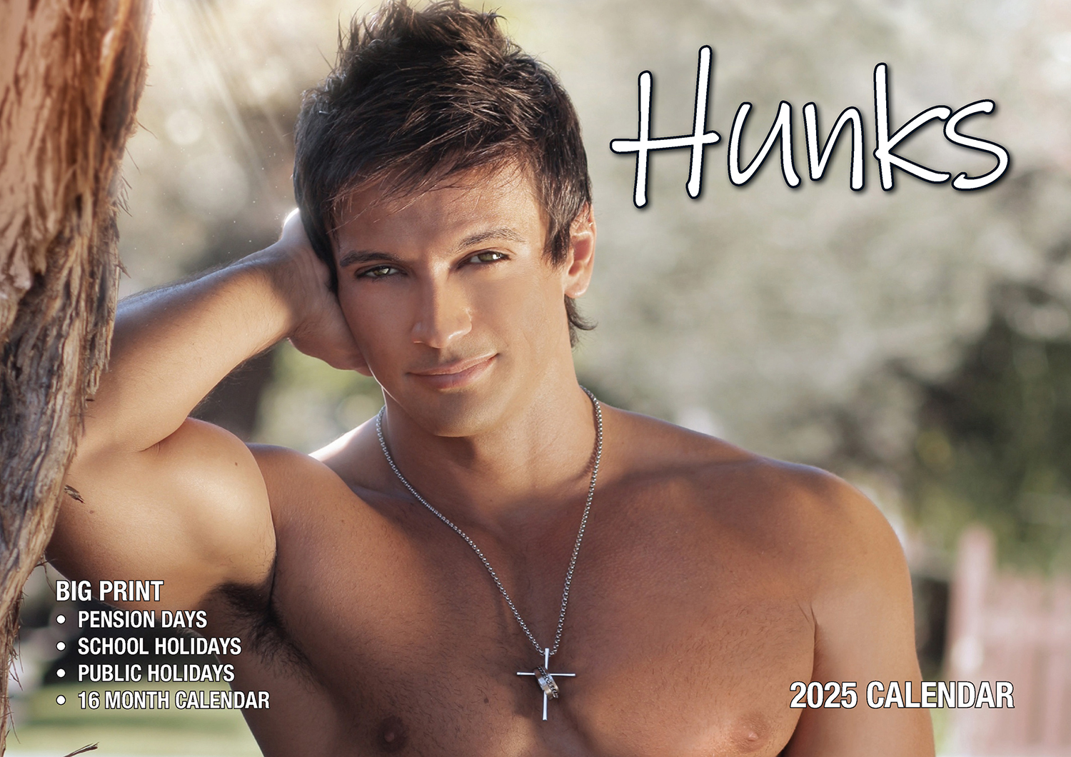 V474-700412-216710-00 Hunks - 2025 Rectangle Wall Calendar 16 Months Planner Handsome Men Photos Gift - Image 1
