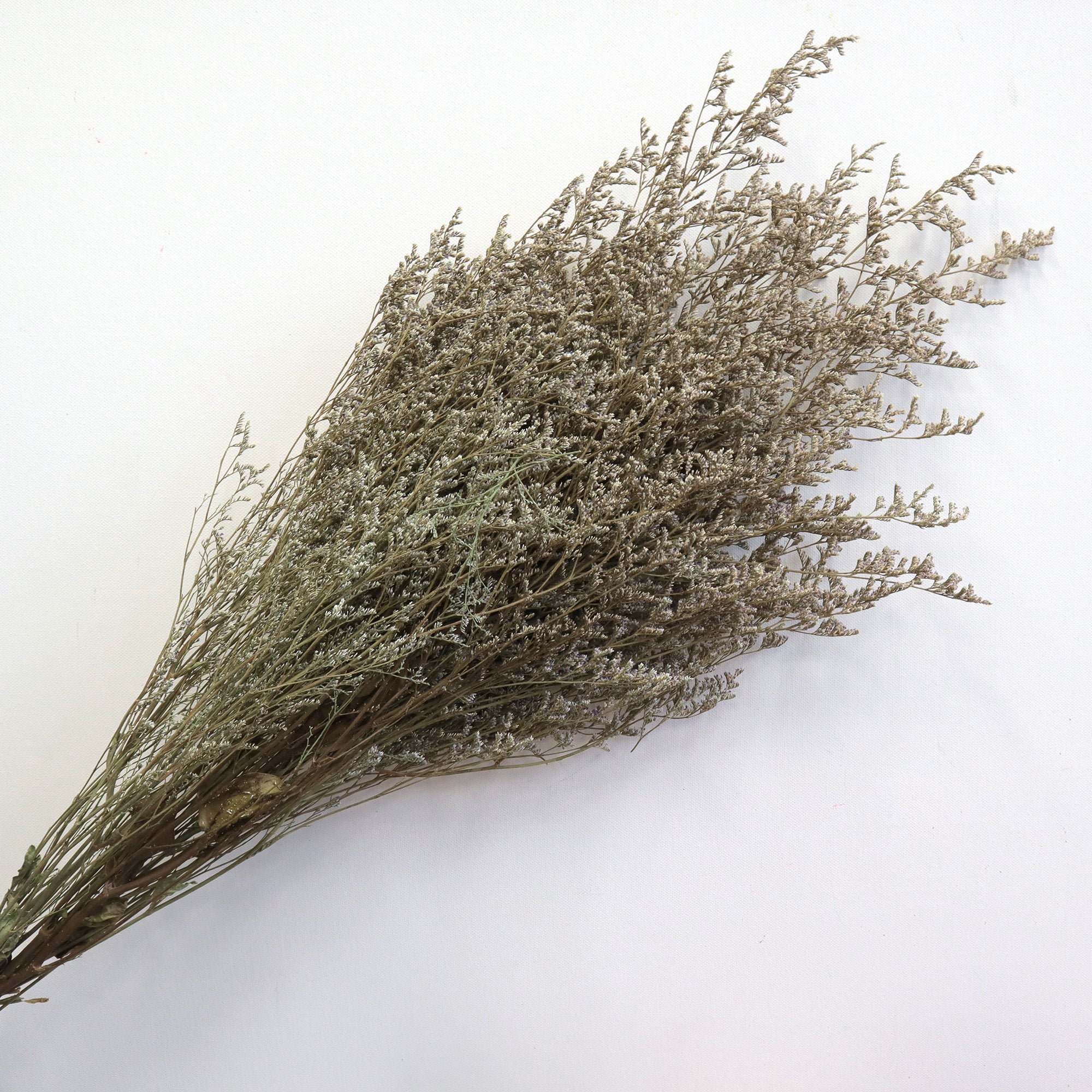 V489-MIS-NAT-120461-00 Misty Natural - Image 1