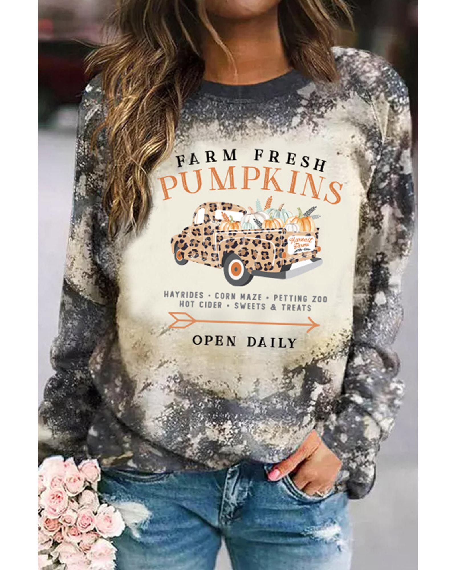 V539-AZEXDC25123784-22-XL-202509010205-00 Azura Exchange Graphic Bleached Top with Farm Fresh Pumpkins - XL - Image 1