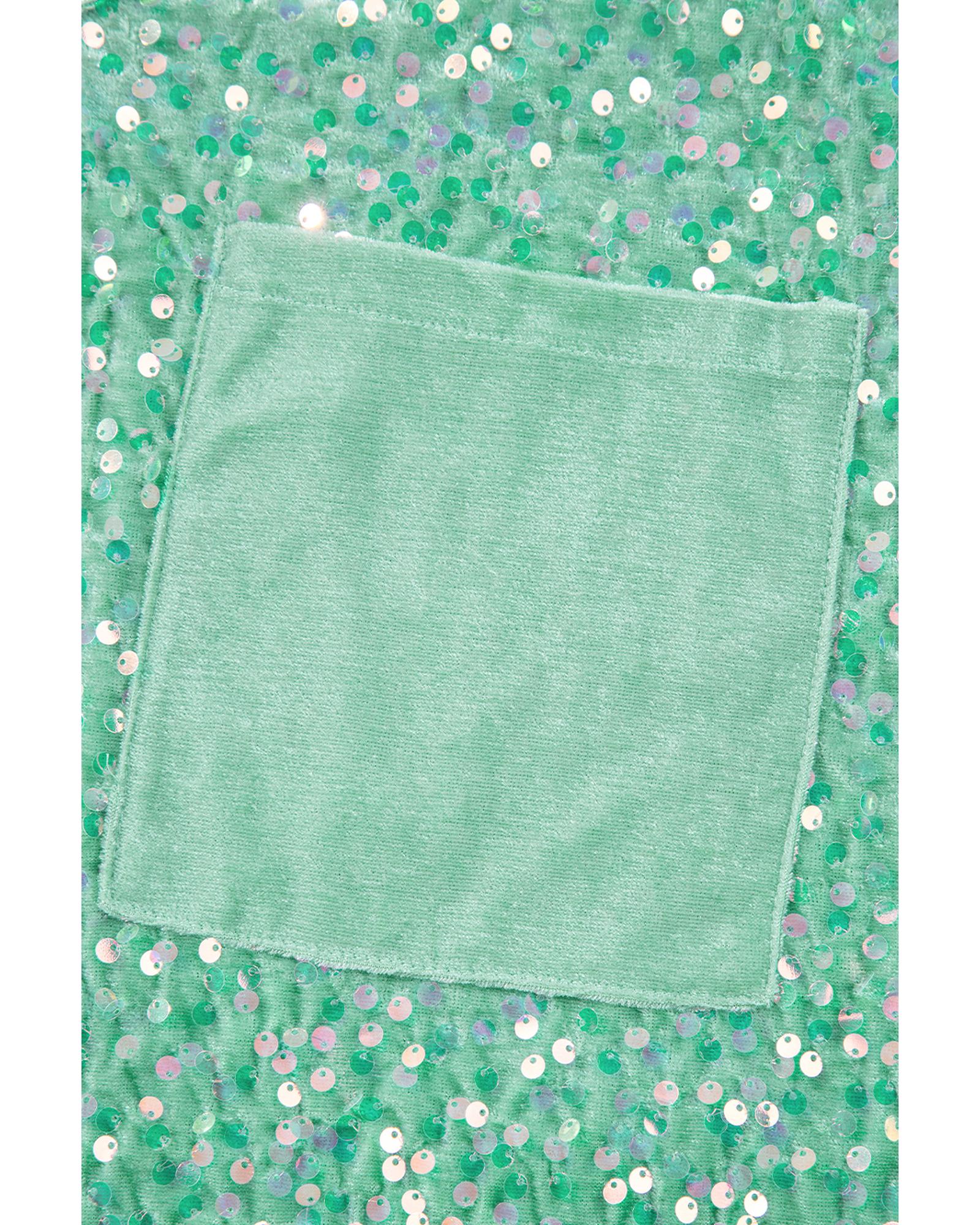 V539-AZEXDC25128526-P2209-M-202508271835-00 Moonlight Jade Sequin Batwing Sleeve V Neck Velvet Blouse - M - Image 1