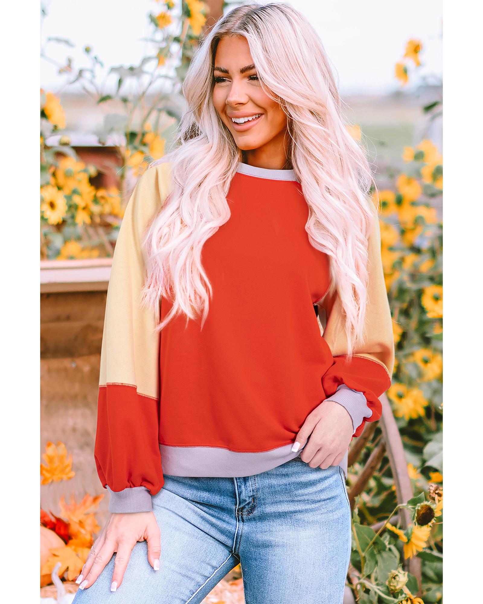 V539-AZEXDC25129215-P1422-L-202508272220-00 Orange Color Block Side Slits Raglan Sleeve Loose Fit Top - L - Image 1