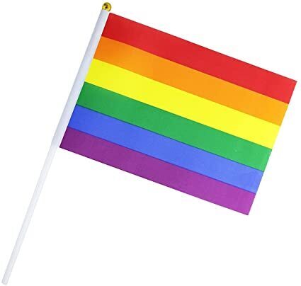 V563-13252-1PCS-184706-00 Rainbow Gay Pride Stick Flag Hand Held Mini Flag LGBT Rainbow Flag - 1 Flag - Image 1