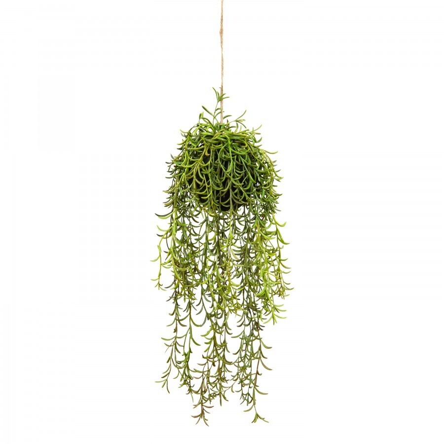 V563-GF70240-202506020827-00 60cm Moss Ball w Senecio Hanging Artificial Plant Flower (with Rope) Fake - Image 1