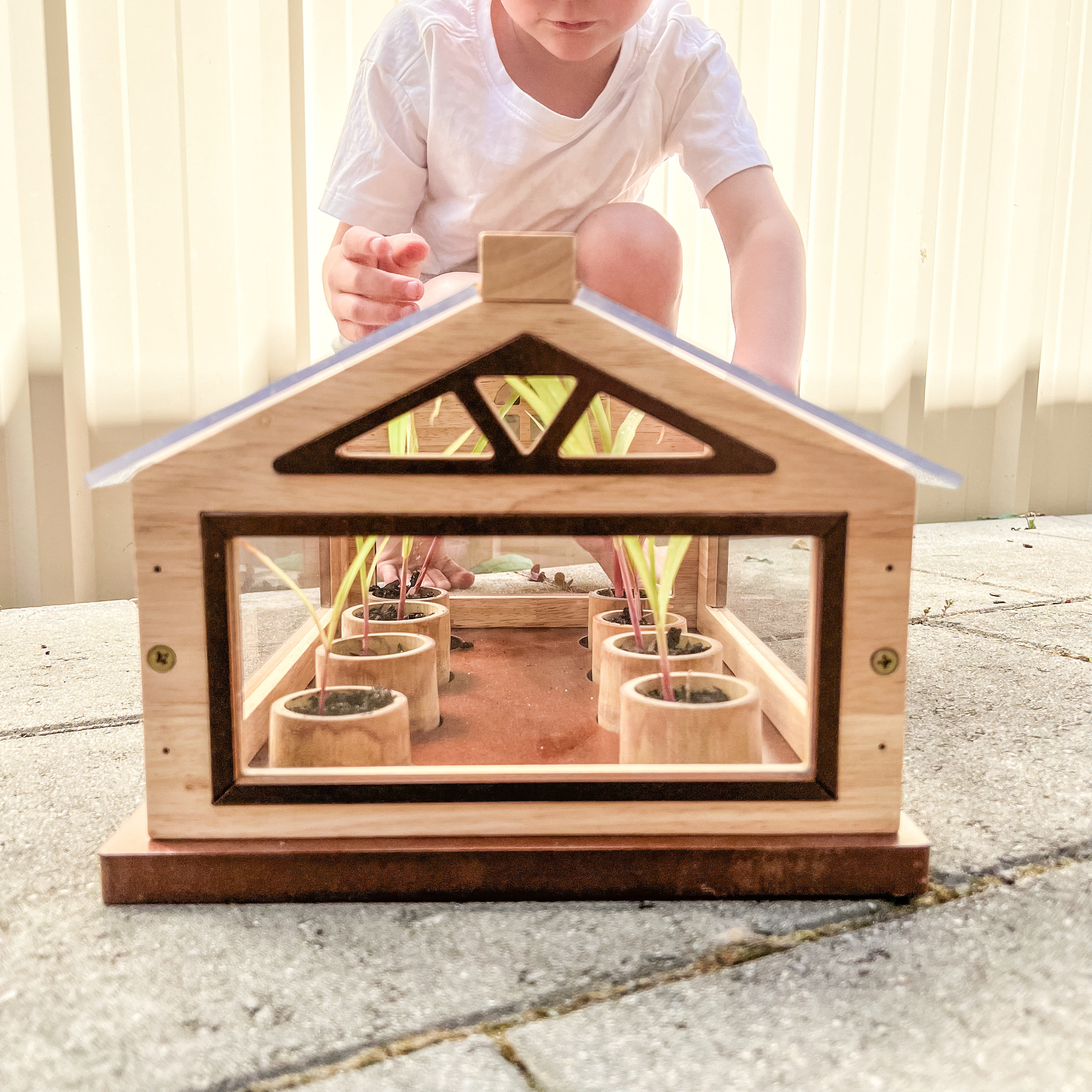 V59-273-159672-00 Plant More Trees Greenhouse - Image 1