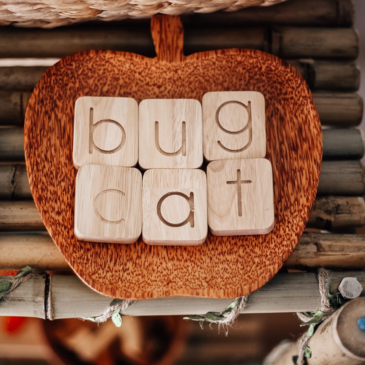 V59-848_IMG_0481-1200x1200 Coco Apple Tray - Image 1